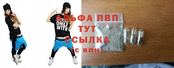 гидра Коряжма