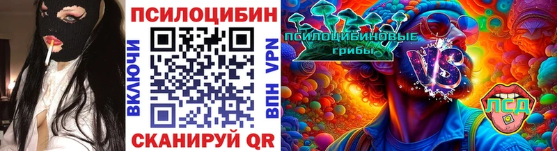 kraken онион  Козловка  Галлюциногенные грибы Psilocybine cubensis  даркнет сайт 